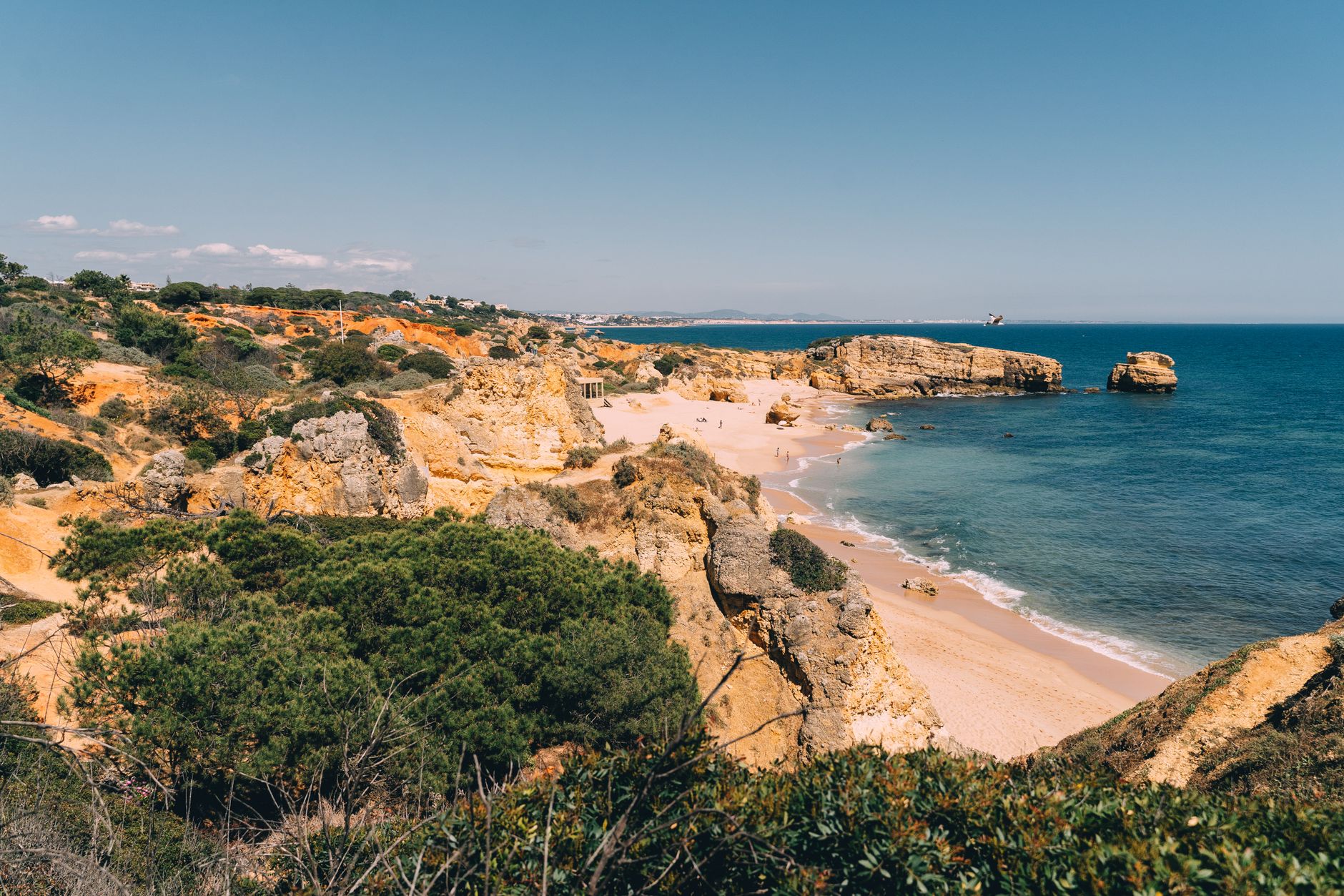 Falésia junto ao mar numa praia do Algarve